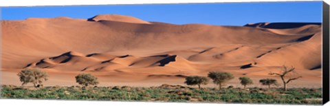 Framed Africa, Namibia, Namib Desert Print