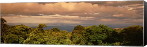 Framed Monteverde Puntarenas Province Costa Rica Print