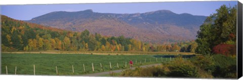 Framed Woman cycling on a road, Stowe, Vermont, USA Print