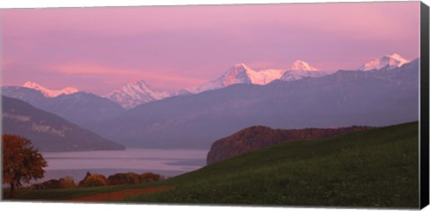 Framed Switzerland, Bernese Alps, Lake Thun Print