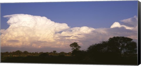 Framed Clouds over a forest, Moremi Game Reserve, Botswana Print