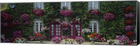 Framed Flowers Breton Home Brittany France Print