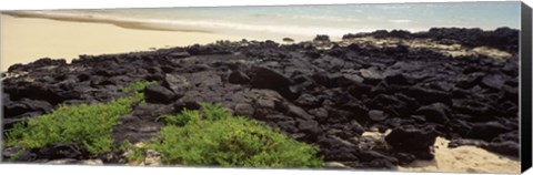 Framed Lava rocks at a coast, Floreana Island, Galapagos Islands, Ecuador Print