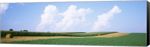 Framed Hay bales in a field, Jo Daviess county, Illinois, USA Print