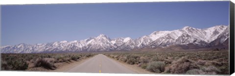 Framed USA, California, Sierra Nevada, Bushes on both sides of a road Print