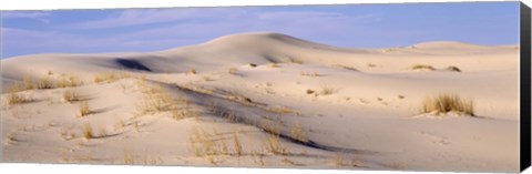 Framed Sand dunes on an arid landscape, Monahans Sandhills State Park, Texas, USA Print