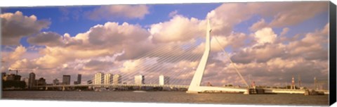 Framed Netherlands, Holland, Rotterdam, Erasmus Bridge Print
