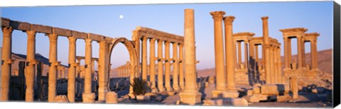 Framed Ruins, Palmyra, Syria Print