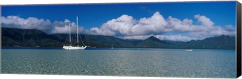 Framed Sailboat in a bay, Kaneohe Bay, Oahu, Hawaii, USA Print