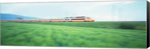 Framed TGV High-speed Train passing through a grassland Print