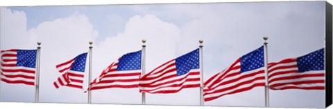 Framed Low angle view of American flags fluttering in wind Print