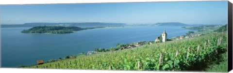 Framed Vineyard near a village, Lake Biel, Ligerz, Canton of Bern, Switzerland Print