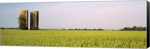 Framed USA, Arkansas, View of grain silos in a field Print