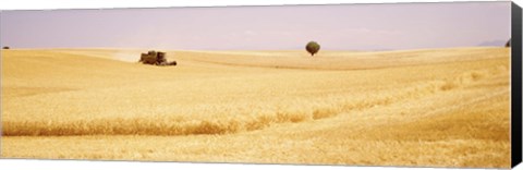 Framed Tractor, Wheat Field, Plateau De Valensole, France Print