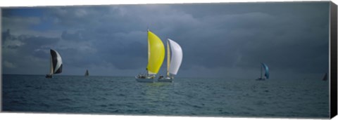 Framed Sailboat race Key West, Florida Print