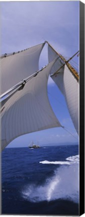 Framed Low angle view of a sailboat&#39;s mast Print