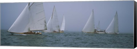 Framed Sailboats at regatta, Newport, Rhode Island, USA Print