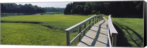 Framed Boardwalk in a field, Nauset Marsh, Cape Cod, Massachusetts, USA Print