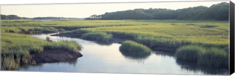 Framed Salt Marsh Cape Cod MA USA Print