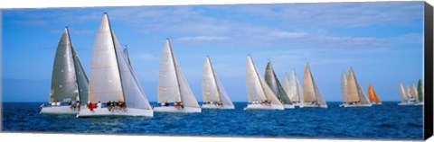 Framed Yachts in the ocean, Key West, Florida, USA Print