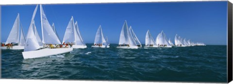 Framed Sailboats racing in the ocean, Key West, Florida Print