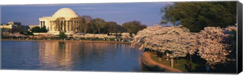 Framed Tidal Basin Washington DC Print