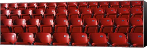 Framed Stadium Seats Print