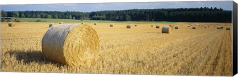 Framed Bales of Hay Southern Germany Print