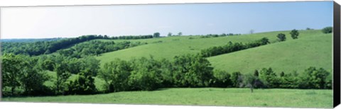 Framed Horse Farm, Kentucky, USA Print