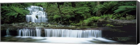 Framed Liffey Falls, Tasmania, Australia Print