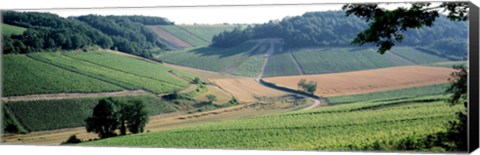 Framed France, Chablis, vineyards Print