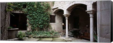 Framed Ivy on the wall of a house, Girona, Spain Print