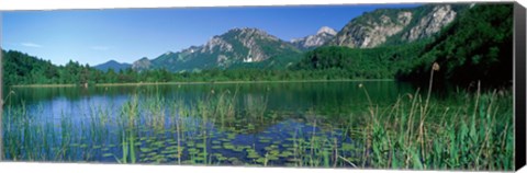 Framed Alpsee Bavaria Germany Print