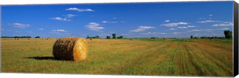 Framed Hay Bales, South Dakota, USA Print