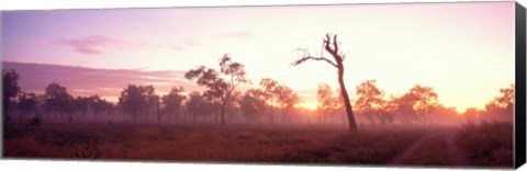 Framed Kakadu National Park Northern Territory Australia Print