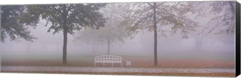 Framed Trees and Bench in Fog Schleissheim Germany Print