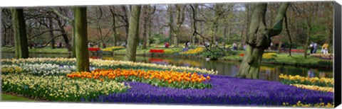 Framed Keukenhof Garden Lisse The Netherlands Print