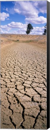 Framed Drought, Australia Print