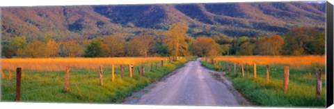 Framed Road At Sundown, Cades Cove, Great Smoky Mountains National Park, Tennessee, USA Print