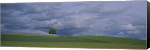 Framed Storm clouds over a field, Zurich Canton, Switzerland Print