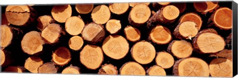 Framed Logs Print