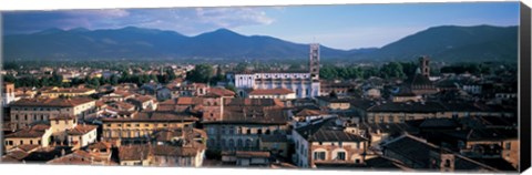 Framed Italy, Tuscany, Lucca Print