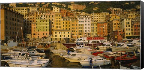 Framed Boats at the harbor, Camogli, Liguria, Italy Print