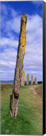 Framed Narrow pillar in the Ring Of Brodgar, Orkney Islands, Scotland, United Kingdom Print