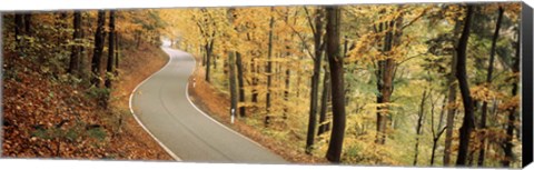 Framed Autumn trees along a road, Germany Print