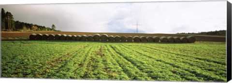 Framed Hay bales in a farm land, Germany Print