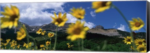 Framed Low Angle View Of Mountains, Montana, USA Print