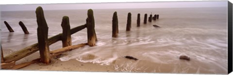 Framed Posts On The Beach, Spurn, Yorkshire, England, United Kingdom Print