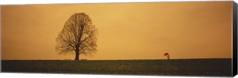 Framed Man standing with an umbrella near a tree, Baden-Wuerttemberg, Germany Print