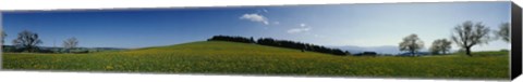 Framed Panoramic view of a landscape, St. Peter, Lindenberg, Black Forest, Germany Print